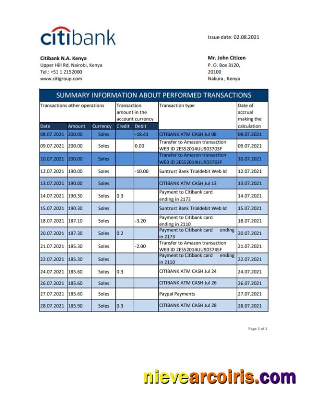 Kenya Citibank bank statement easy to fill in .xls and .pdf file format